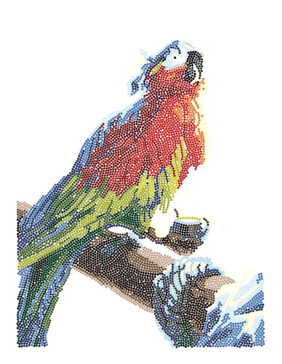 Алмазная вышивка «Попугай Флинта» — картинка 2