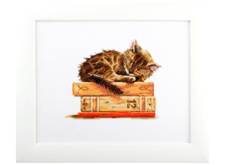 Набор для вышивания «Сны Мурлыки» — картинка 2