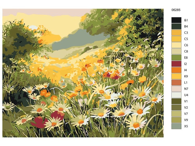 Картина по номерам «Полевые ромашки» — картинка 2