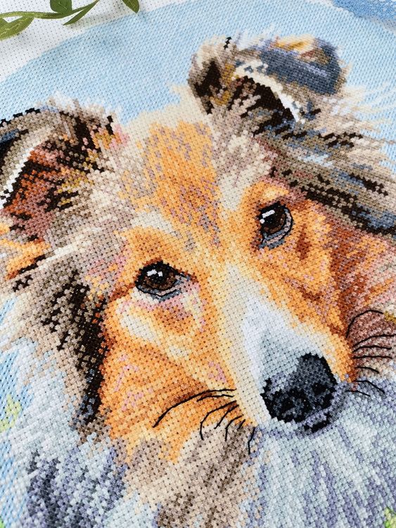 Набор для вышивания «Шелти» — картинка 4