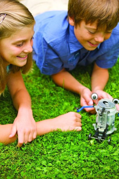 «Банкабот» Набор 4М — картинка 4