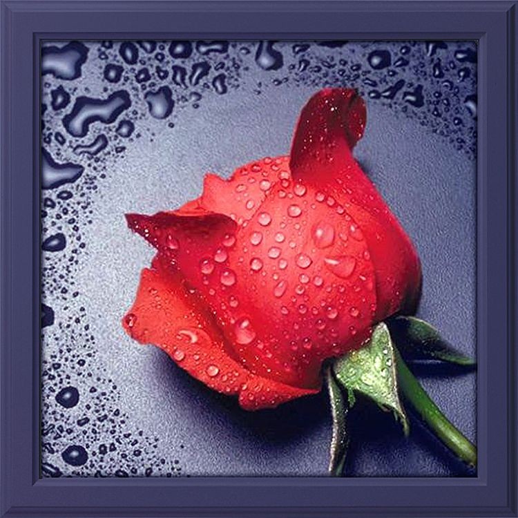 Алмазная вышивка «Красная роза»