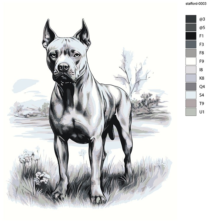 Картина по номерам «Собака Стаффорд (Стаффордширский терьер) 3» — картинка 2