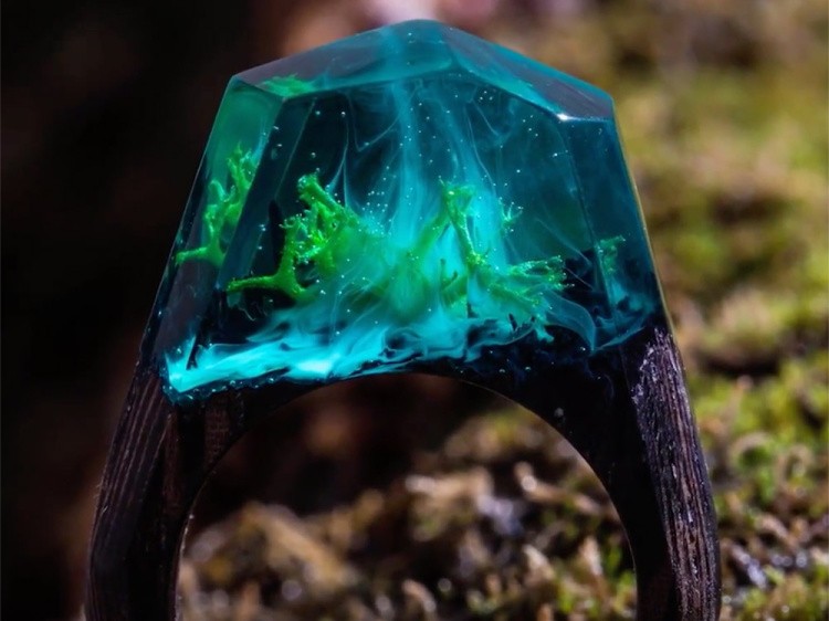 Мох ягель стабилизированный зеленый — картинка 2