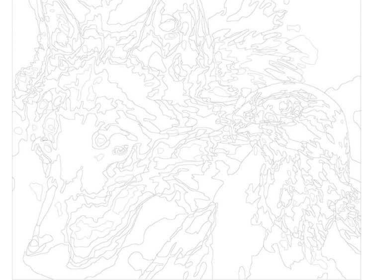 Картина по номерам «Волк и орёл» — картинка 3