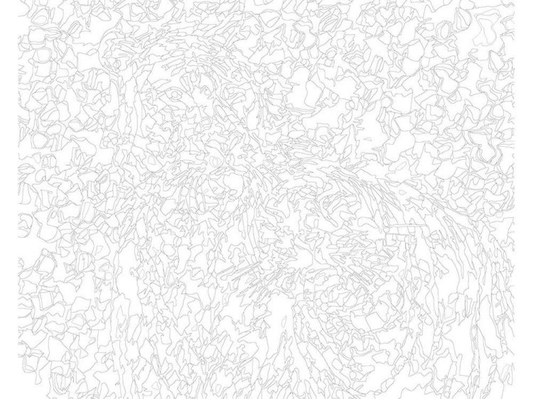 Картина по номерам «Тигры» — картинка 3