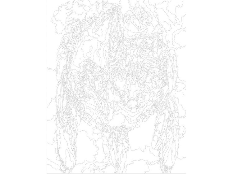 Картина по номерам «Знак волка» — картинка 3