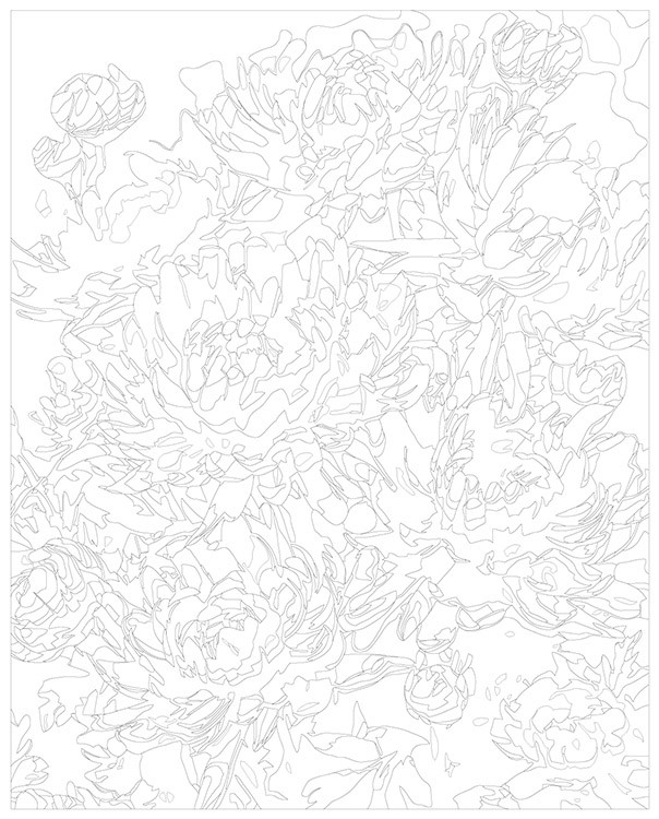 Картина по номерам «Цветы: Необычные хризантемы 2» — картинка 3