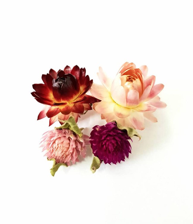 Сухоцветы Гелихризум и Гомфрена 6+6 шт., Resin Pro — картинка 2