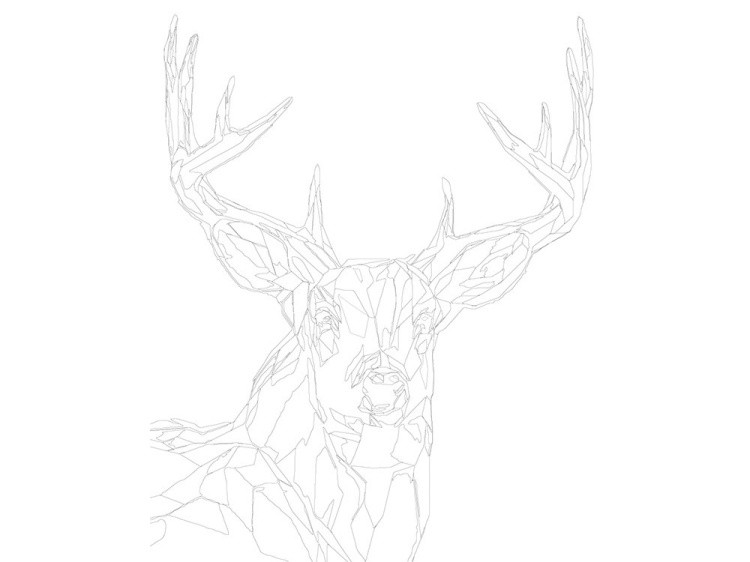 Картина по номерам «Олень» — картинка 3