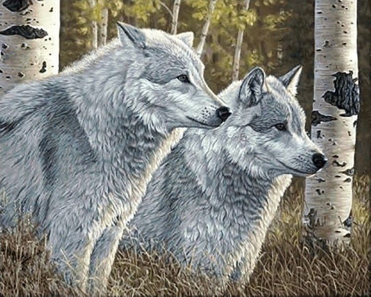 Алмазная вышивка «Лесные волки»