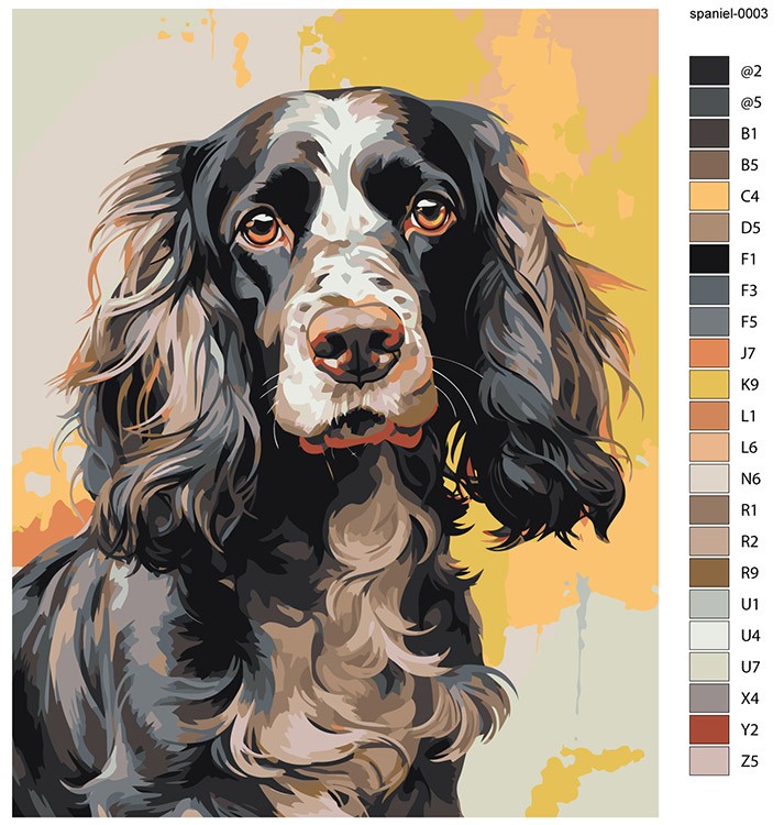 Картина по номерам «Собака Спаниель черная с белым» — картинка 2