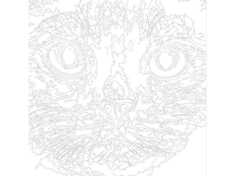 Картина по номерам «Сиамская кошка» — картинка 3