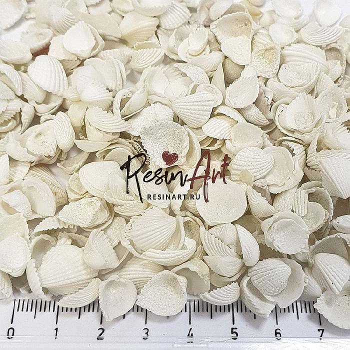 Ракушки Анадара Микро, 100 г, ResinArt