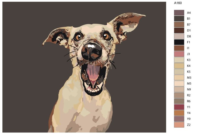 Картина по номерам «Макс» — картинка 2