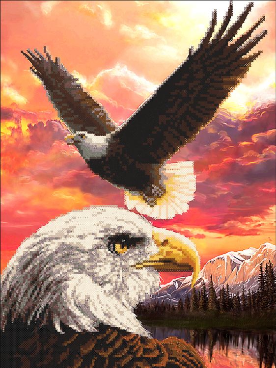 Алмазная вышивка «Белоголовые орланы» — картинка 2