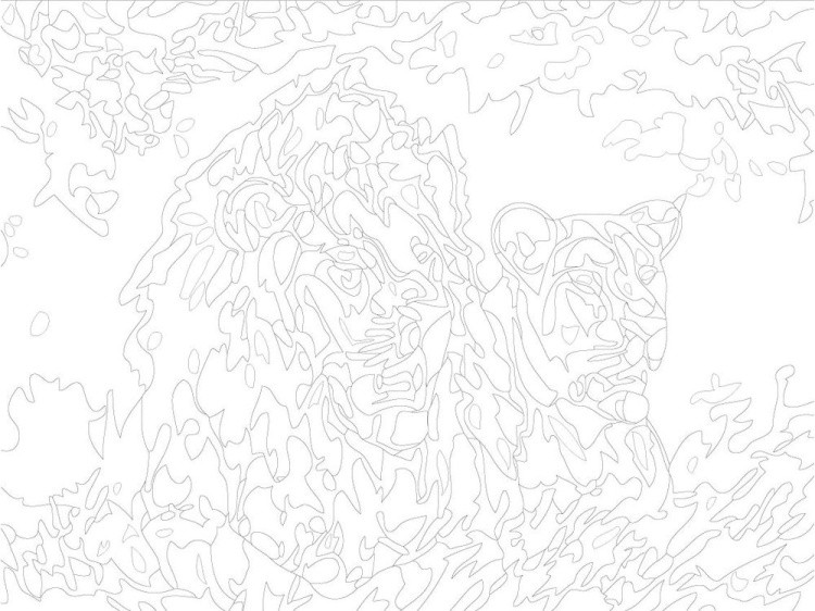 Картина по номерам «Пара львов» — картинка 3