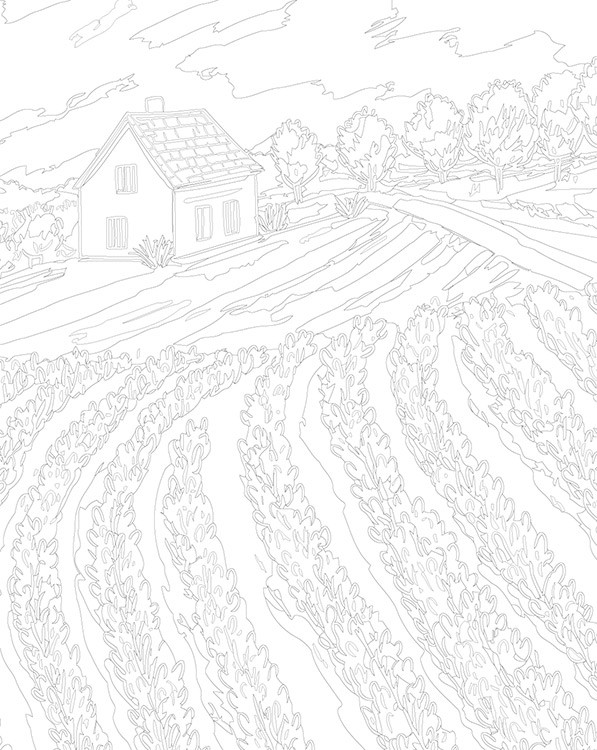 Картина по номерам «Прованс, Франция: лаванда на поле 40x50» — картинка 3