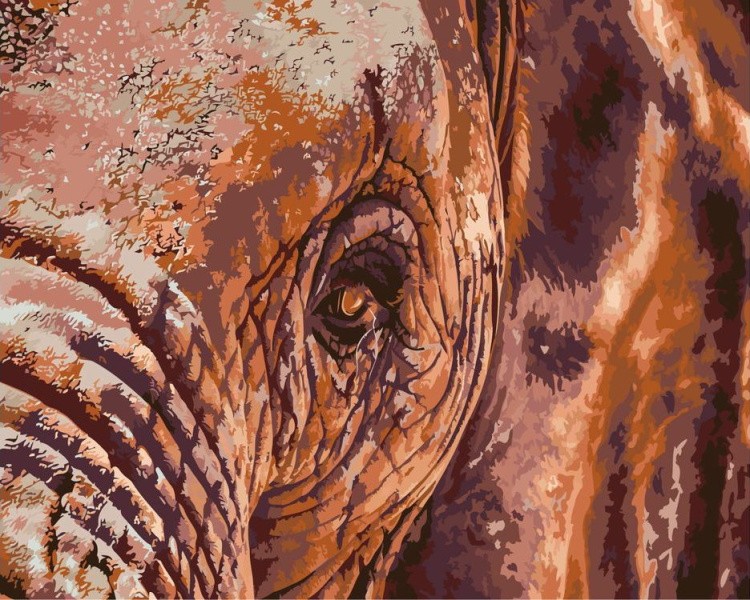 Картина по номерам «Глаз слона»