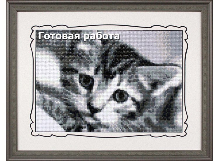 Алмазная вышивка «Черно-белый кот» — картинка 4
