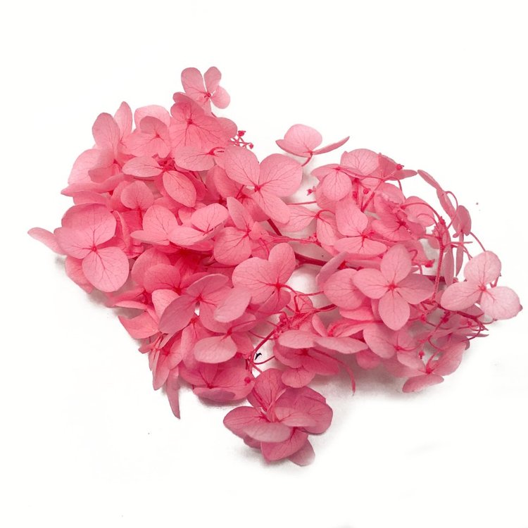 Стабилизированные цветы Гортензии (розовые) — картинка 2