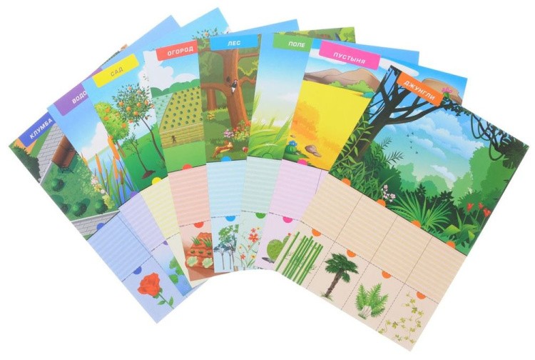 Первые уроки «Что где растет?» — картинка 3