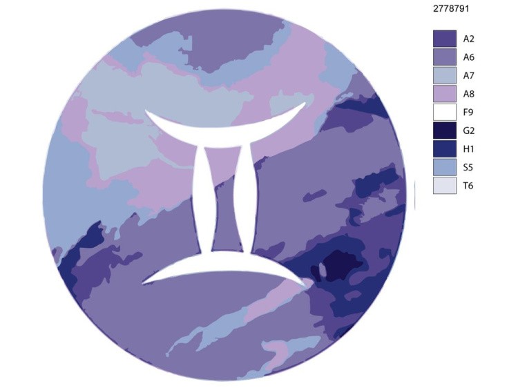 Картина по номерам «Знак зодиака. Близнецы» — картинка 2