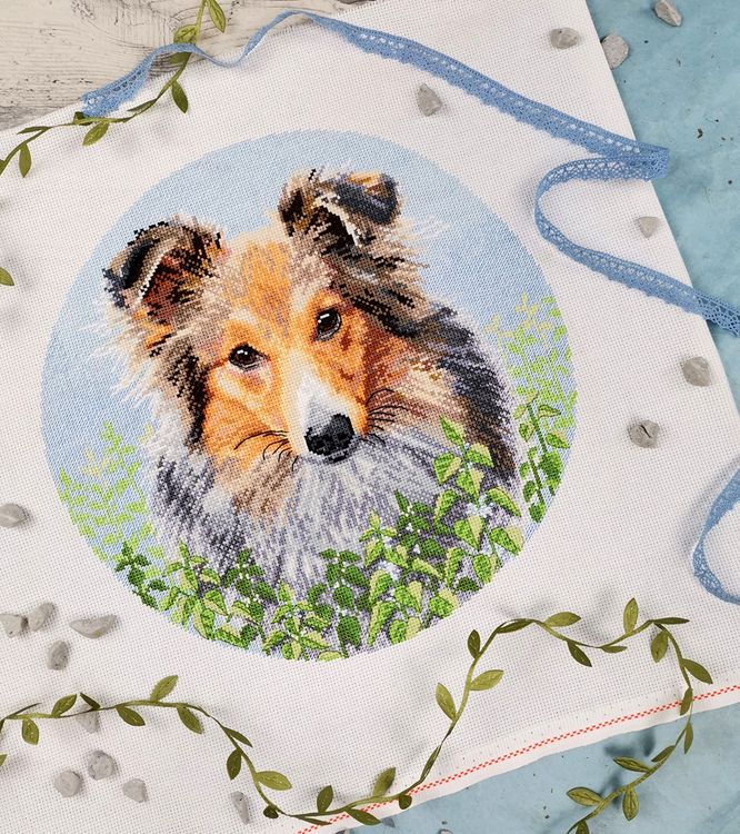 Набор для вышивания «Шелти» — картинка 3