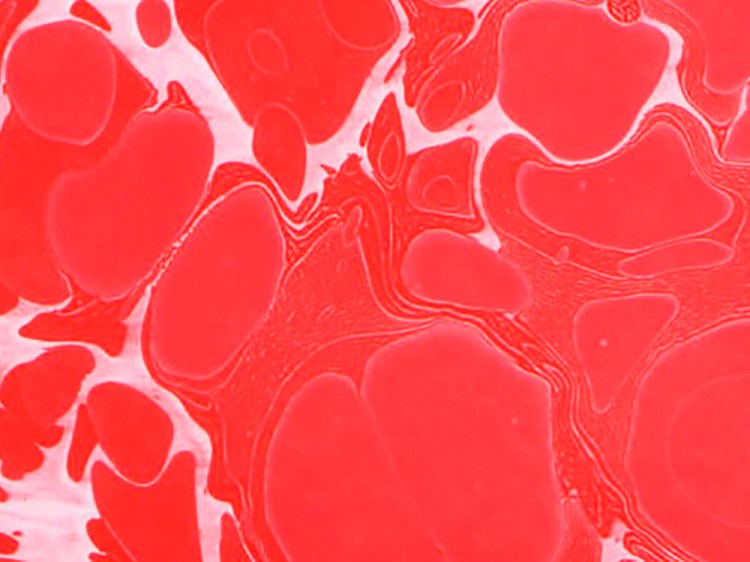 Краска для эбру красная 30 мл, Karin — картинка 4