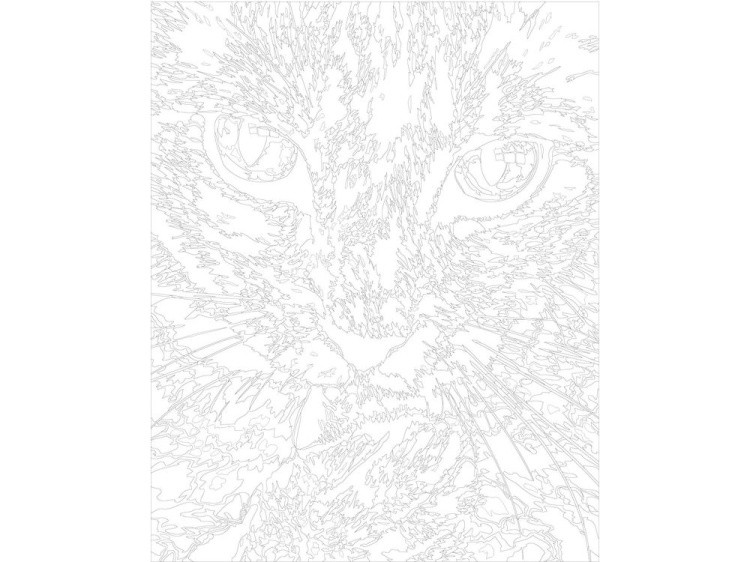 Картина по номерам «Чистоплотный кот» — картинка 3