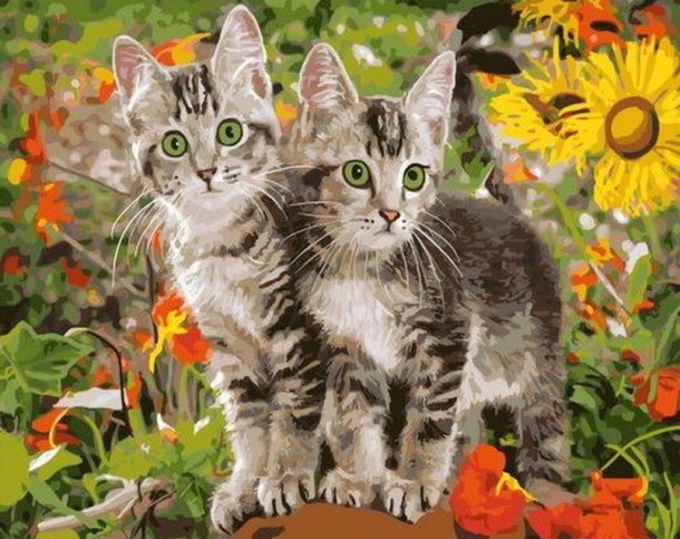 Картина по номерам «Два котенка»