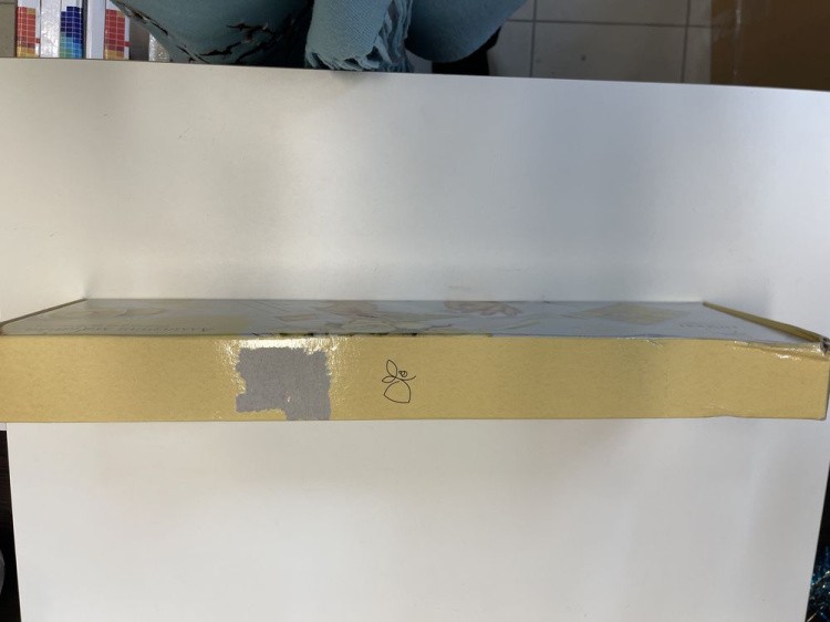 УЦЕНКА. Алмазная вышивка «Аристократка» (немного порвана, помята коробка) — картинка 4