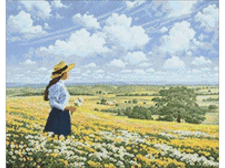 Алмазная вышивка «Свобода» — картинка 2