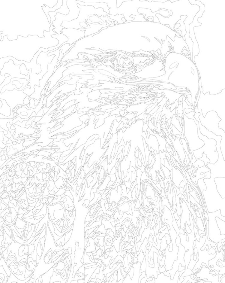 Картина по номерам «Животные: птица белоголовый орел арт» — картинка 3