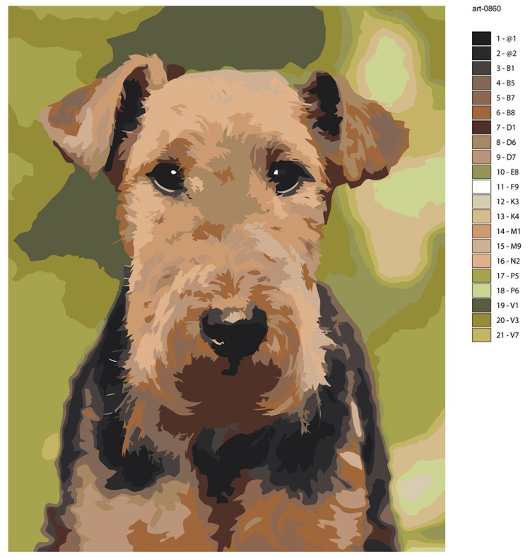 Картина по номерам Собака вельштерьер портрет — картинка 2