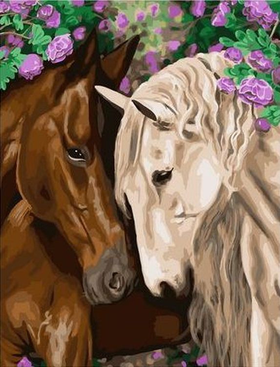 Картина по номерам «Две лошади»