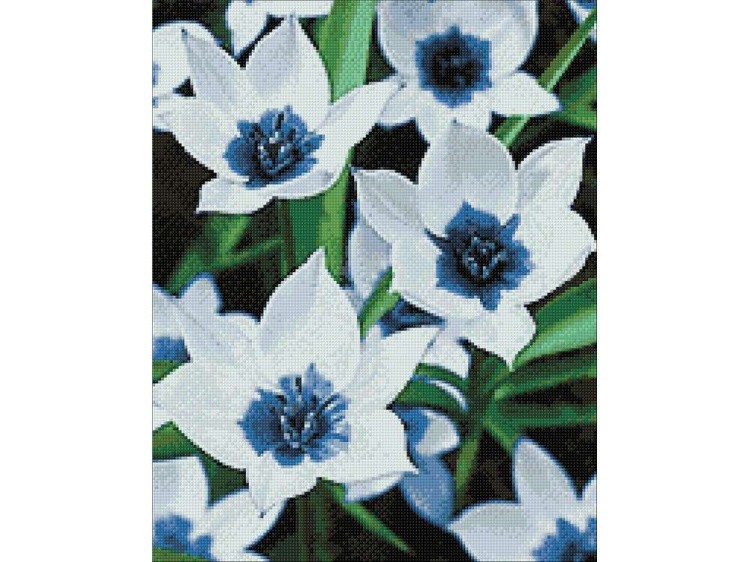 Алмазная вышивка «Синеглазые тюльпаны» — картинка 3