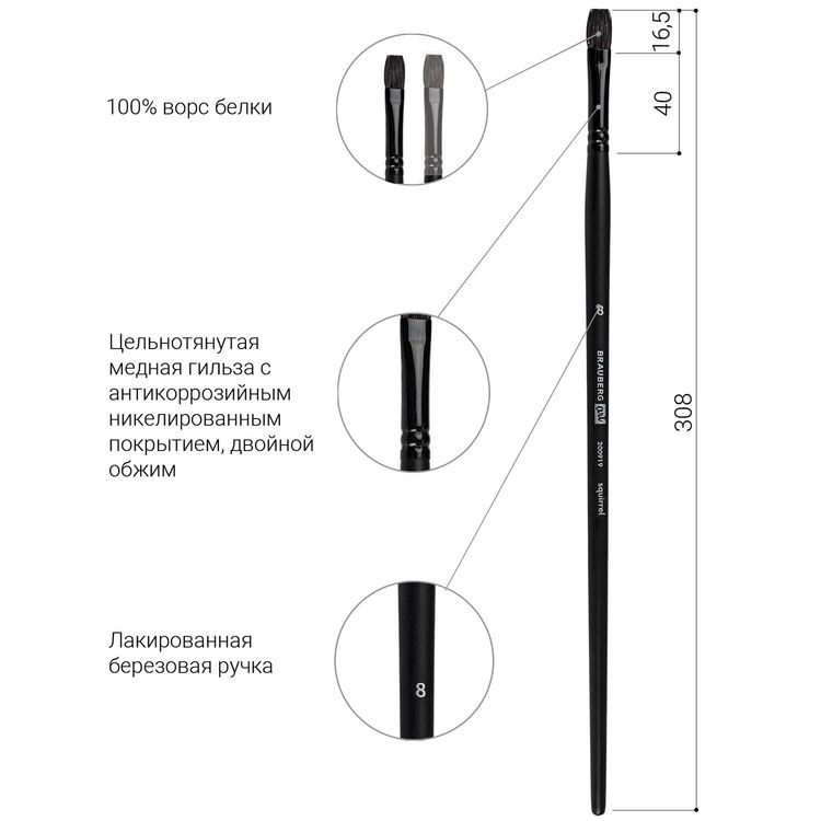 Кисть художественная профессиональная Art Classic, белка, плоская, № 8, длинная ручка, Brauberg — картинка 4