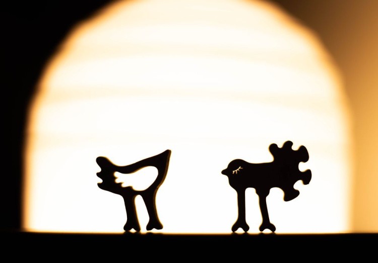 Деревянные пазлы DAVICI «Из жизни птичек» — картинка 6