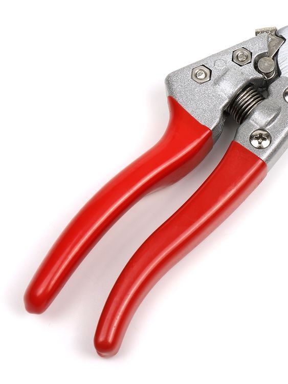 Секатор Maxwell изогнутое лезвие, 60/225 мм, ручки красный металл — картинка 7