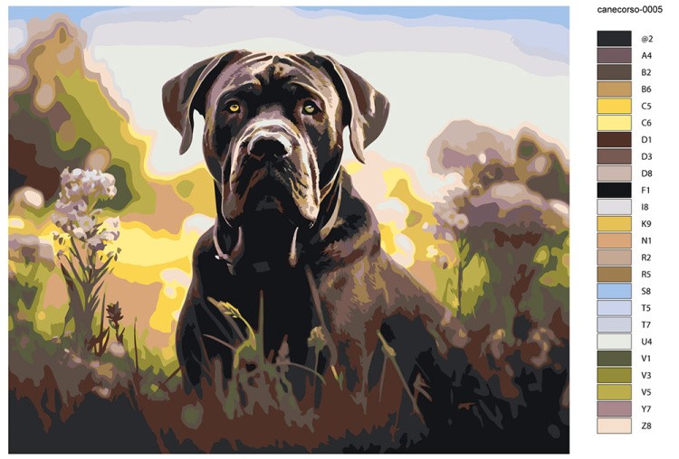 Картина по номерам «Собака Кане корсо на цветущем лугу» — картинка 2