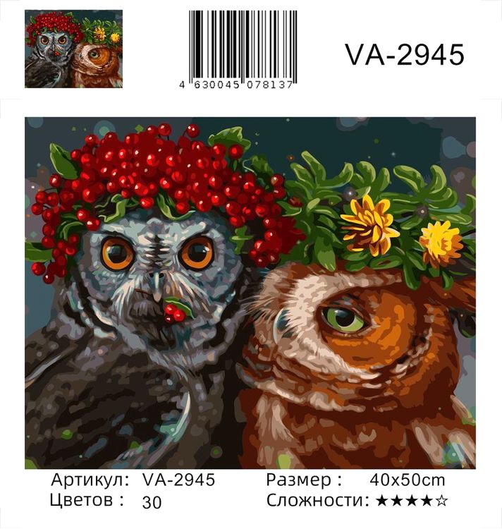 Картина по номерам «Смешные совы» — картинка 2
