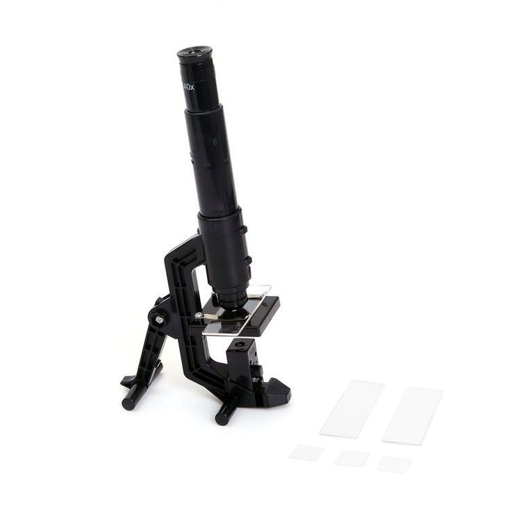 «Микроскоп». Японские опыты Науки с Буки Bondibon — картинка 2