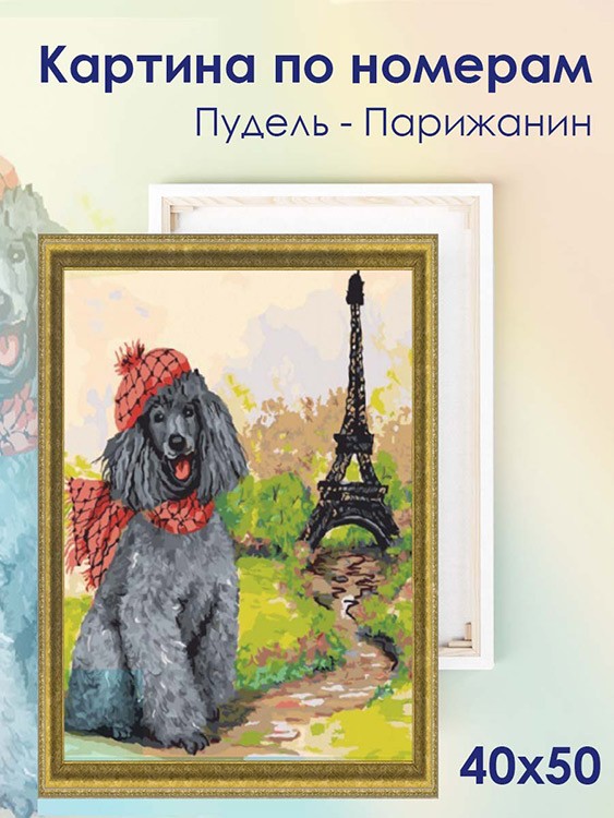 Картина по номерам «Пудель - Парижанин» — картинка 2