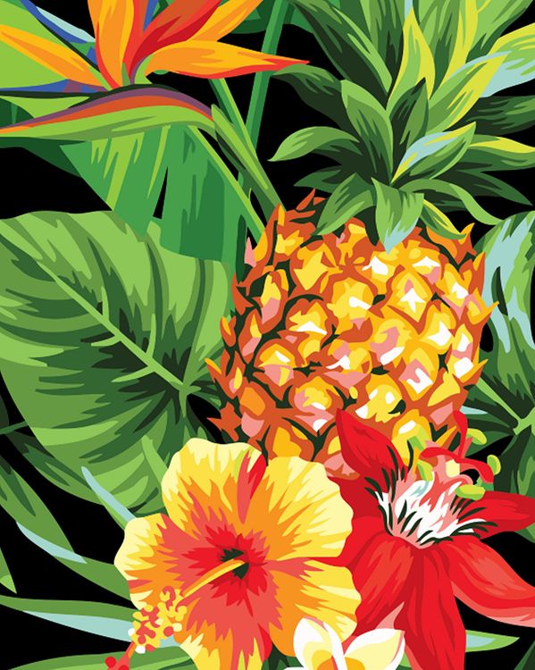 Картина по номерам «Сочный ананас»