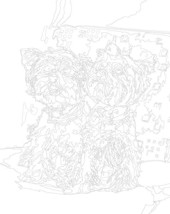 Картина по номерам «Йоркширские терьеры» — картинка 3