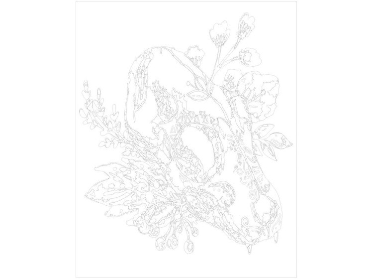 Картина по номерам «Череп» — картинка 3