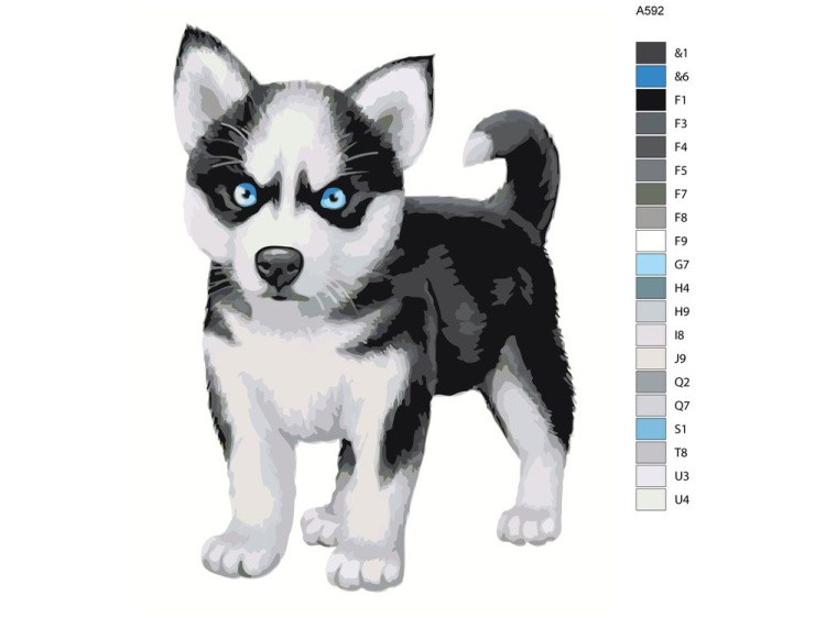 Картина по номерам «Щенок хаски» — картинка 2