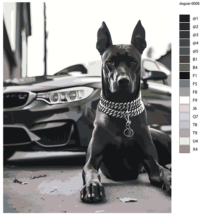 Картина по номерам «Машина BMW и собака доберман чернобелая» — картинка 2