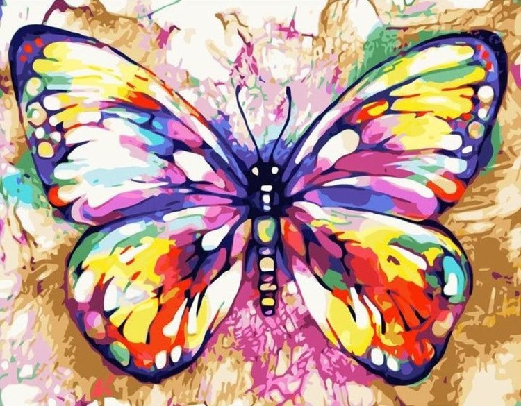 Картина по номерам «Пестрая бабочка»
